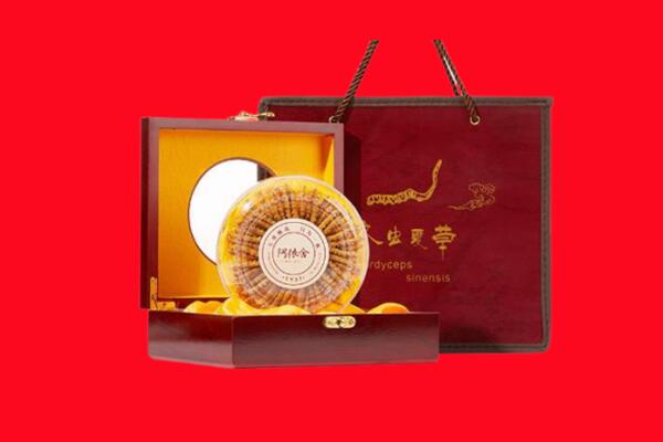 克拉玛依白碱滩区回收虫草